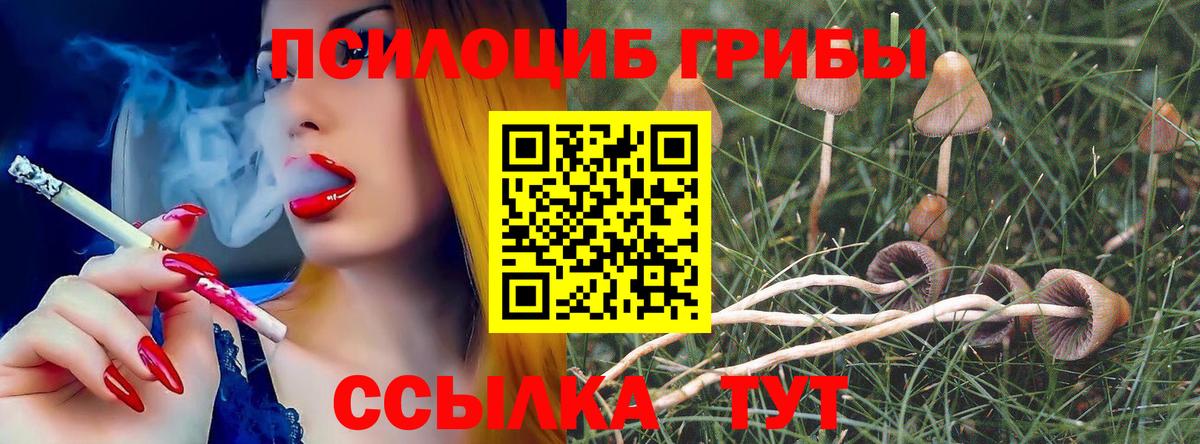 Бирск  Псилоцибиновые грибы MAGIC MUSHROOMS  Вход с VPN 
